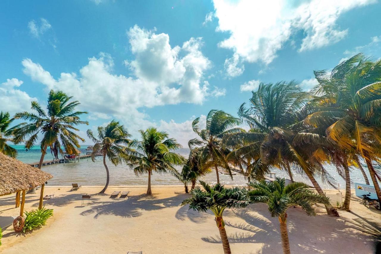 شقة Palm @ Caribe Island سان بيدرو المظهر الخارجي الصورة